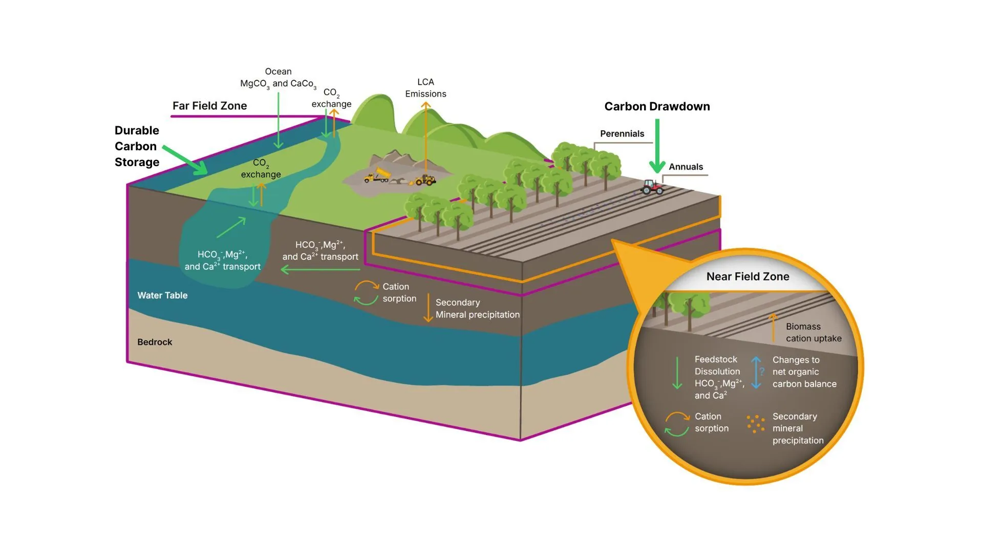 Graphic that illustrates the journey from carbon drawdown to durable carbon storage