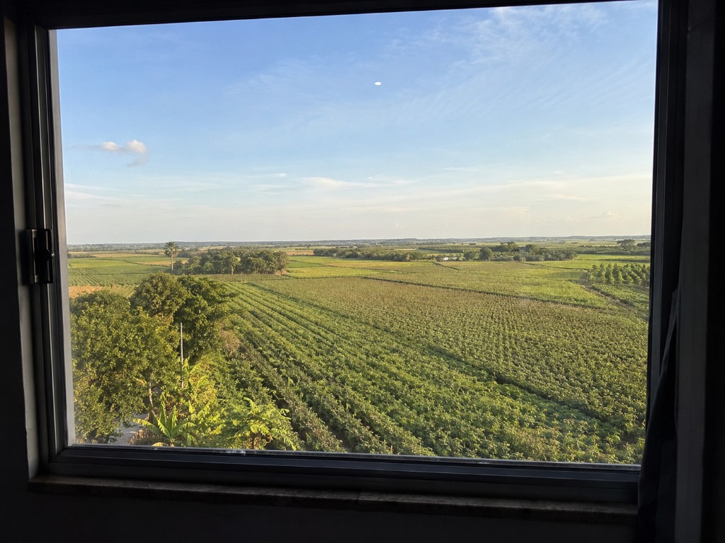 View through a window overlooking agricultural fields and tropical vegetation